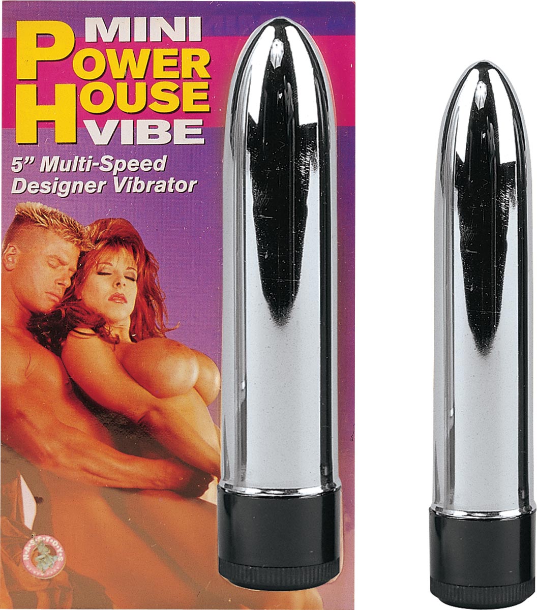 MINI POWERHOUSE VIBE-SILVER
